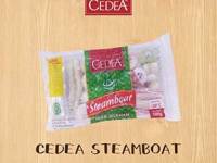STEAMBOAT CEDEA